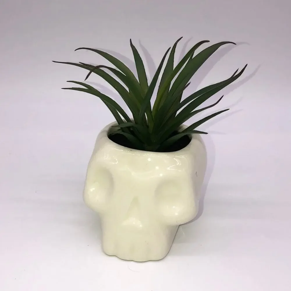 New Target Hyde & Eek 2020 Halloween Skull Planter Faux Succulent Plant